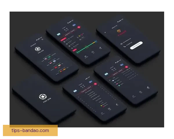 世界杯竞猜APP官网打造全新互动体验助你精准预测赛果